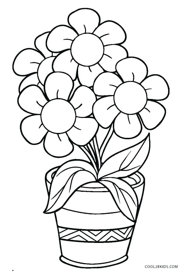 550 Top Coloring Pages Of Flower Pots Pictures