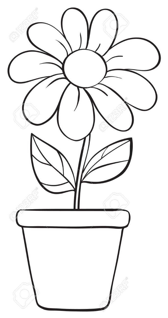 Flower Pot Drawing at PaintingValley.com | Explore collection of Flower