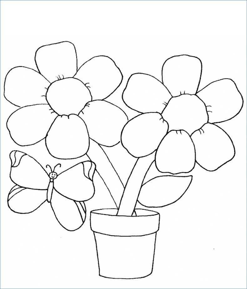 790x922 Flower Pot Coloring - Flower Pot Line Drawing