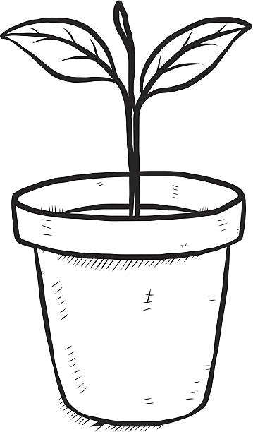 359x612 Plant Black And White Clipart Pot Flower Line Drawing - Flower Pot Line Drawing
