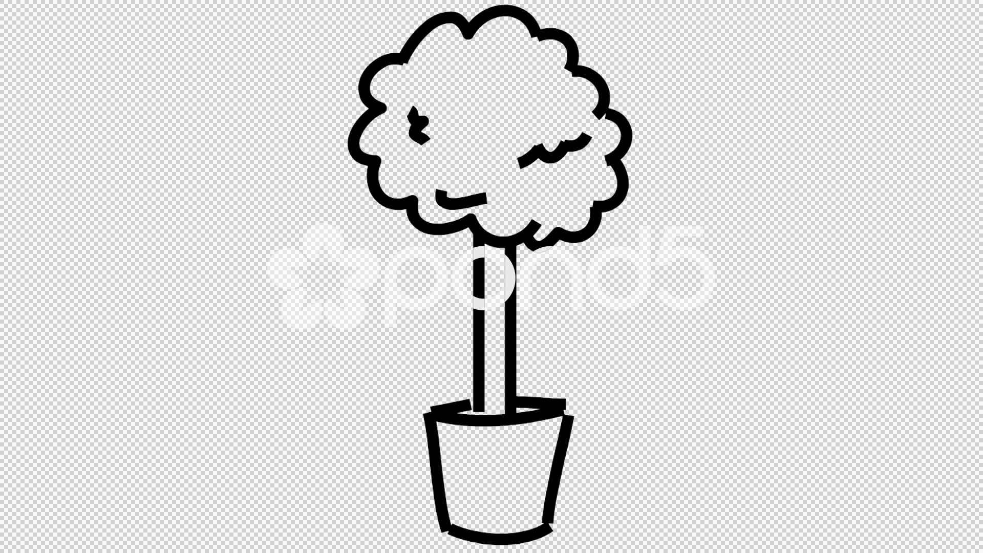 1920x1080 Video Plant In A Pot Flower Line Drawing Illustration Animation - Flower Pot Line Drawing