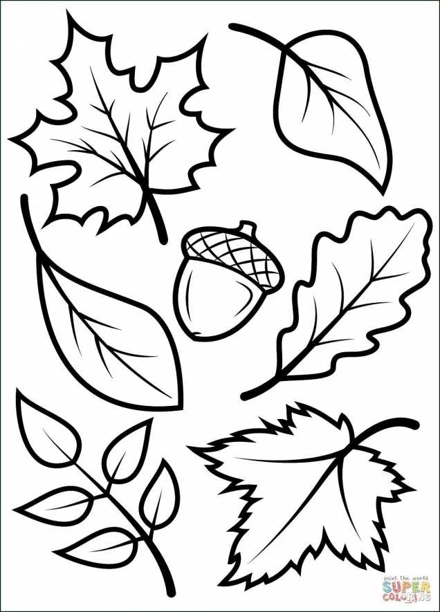 636x885 Flower With Roots Coloring - Flower Roots Drawing