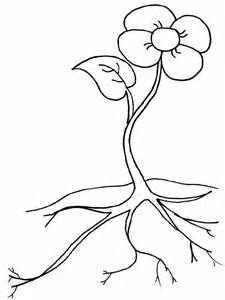 225x300 Roots Clipart Flower - Flower Roots Drawing