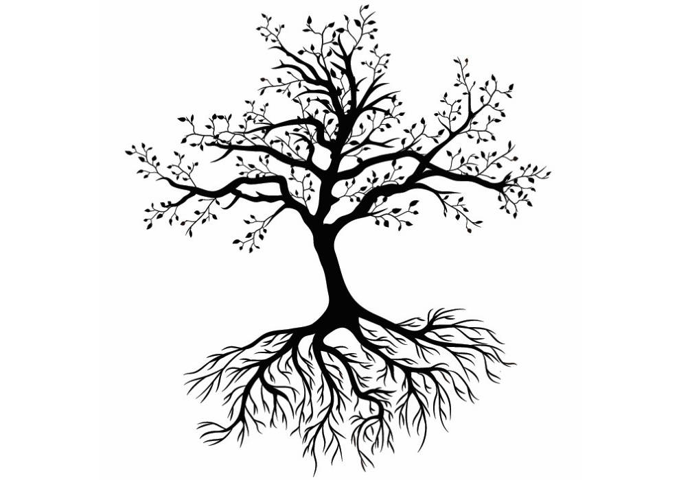 Flower Roots Drawing at Explore collection of Flower Roots Drawing