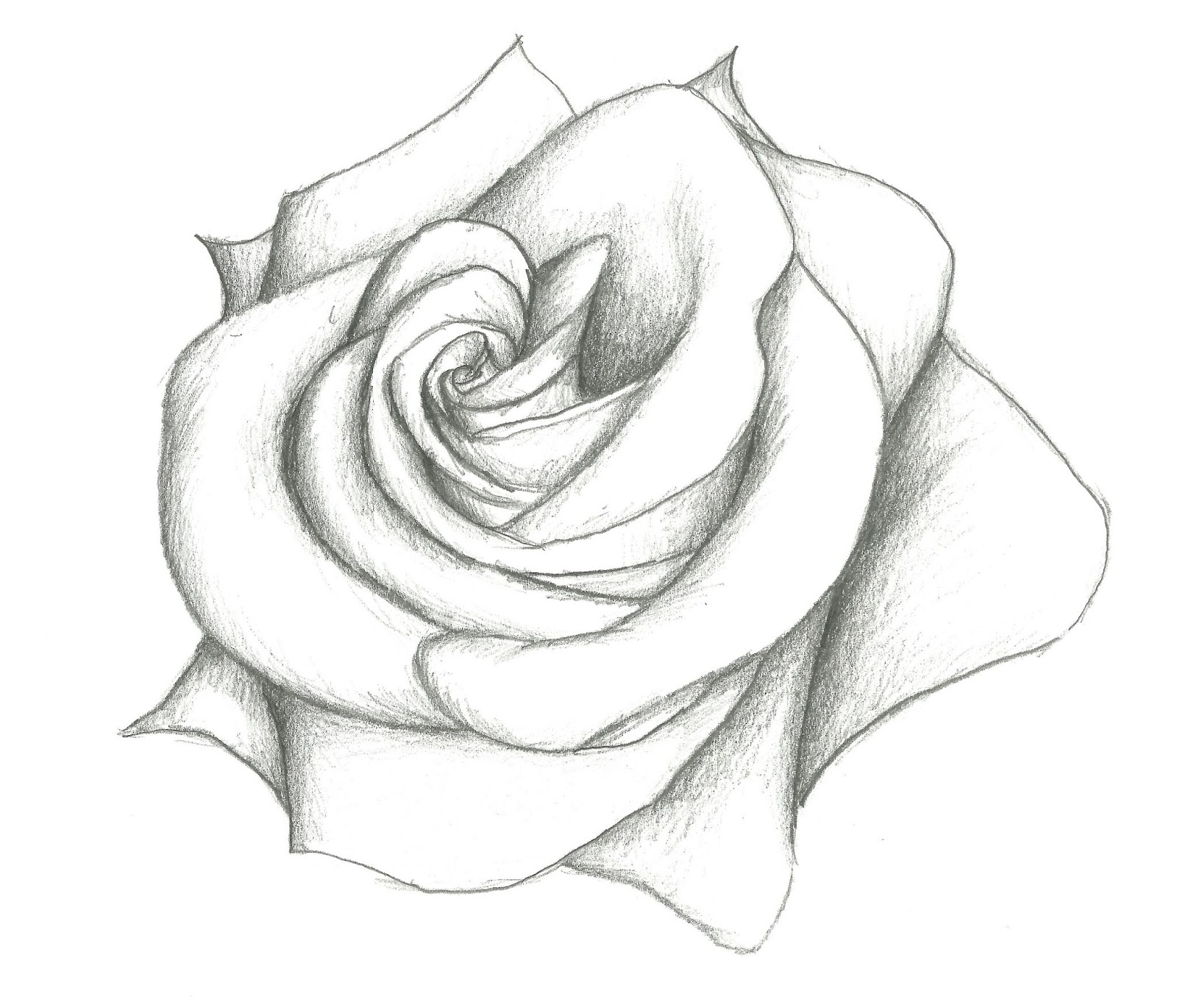 Flower Shading Drawing At PaintingValley Explore Collection Of Flower Shading Drawing At PaintingValley Explore Collection Of