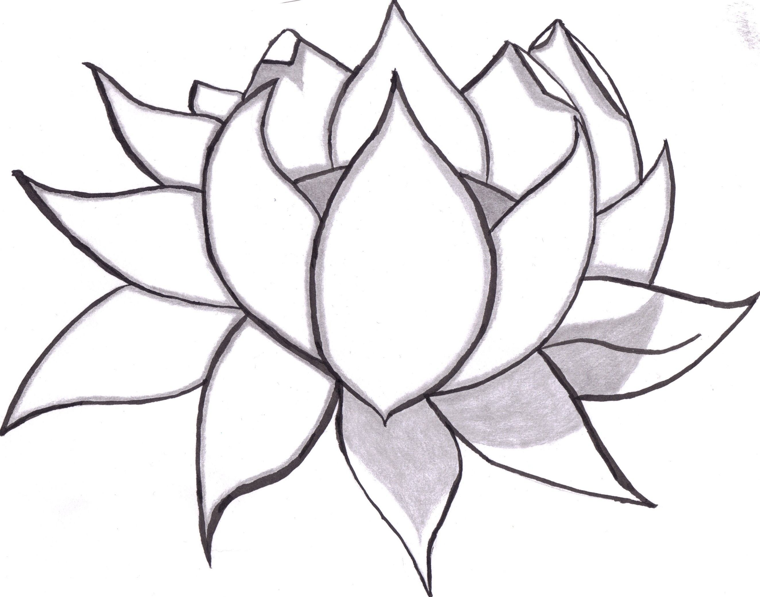 2646x2077 Shading Drawing Of Flowers Drawings A Flower - Flower Shading Drawing