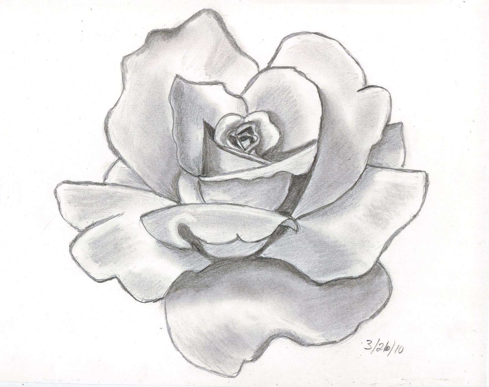 1600x1268 Pencil Drawings This Is My First Attempt - Flower Shading Drawing