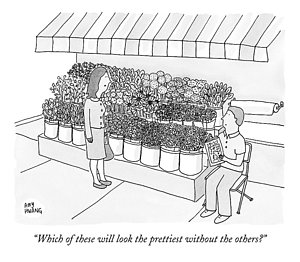 300x262 Flower Shop Drawings Fine Art America - Flower Shop Drawing