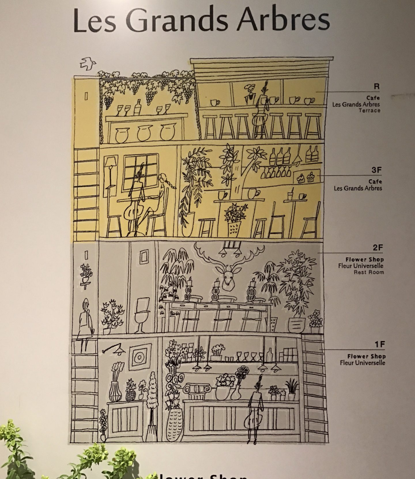 1440x1662 tokyo flower cafes the tokyo chapter - Flower Shop Drawing