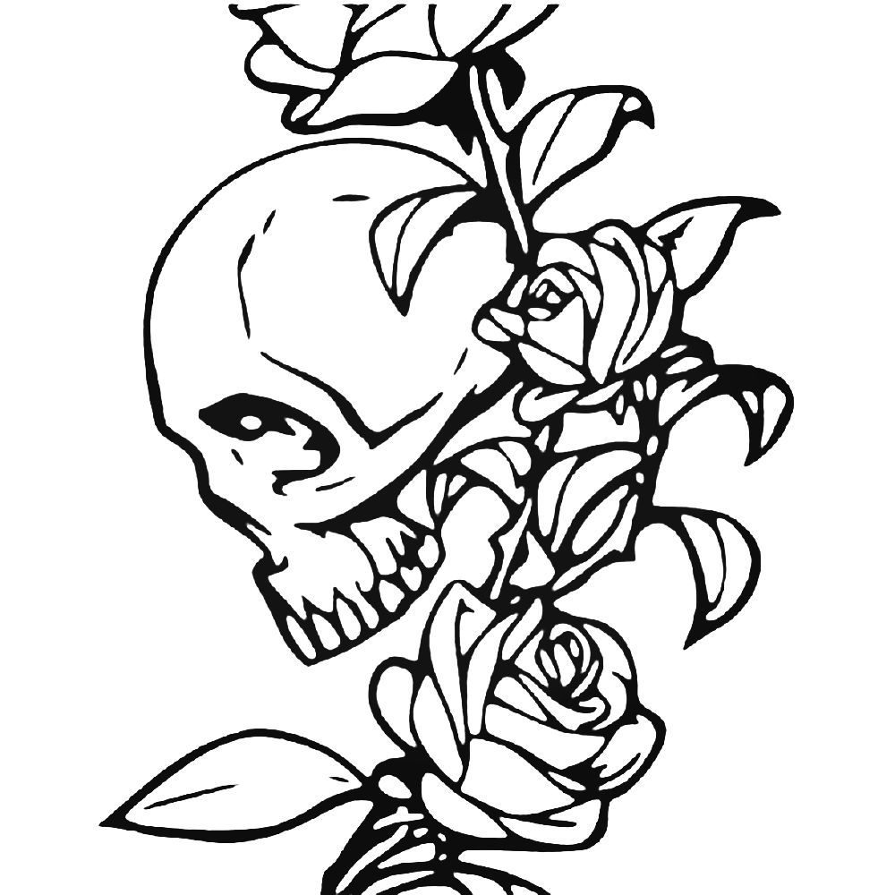 Flower Skull Drawing at PaintingValley.com | Explore collection of ...