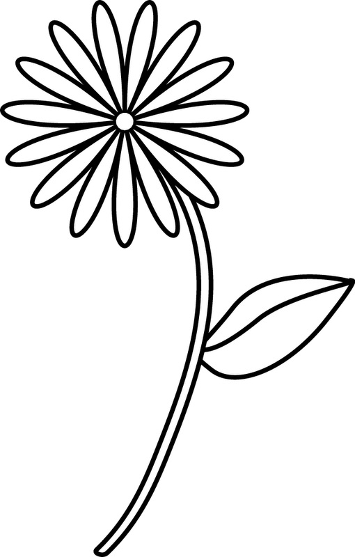510x800 flower stem black and white clip royalty free stock - Flower Stem Drawing