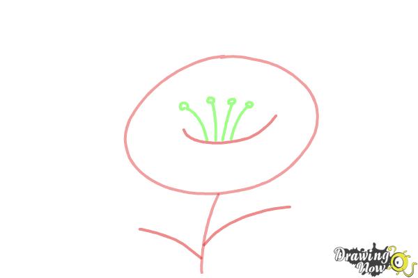 600x400 How To Draw A Flower Step - Flower Stem Drawing