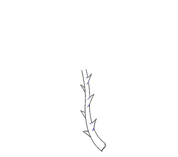 Flower Stem Drawing at Explore collection of