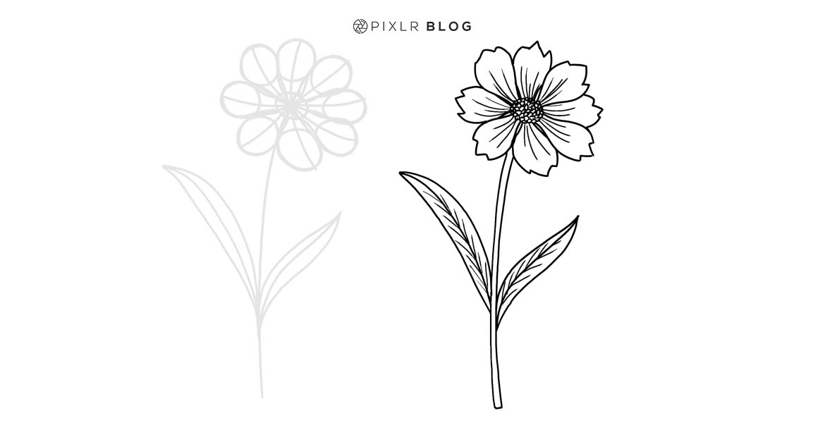 Flower Stem Drawing at Explore collection of