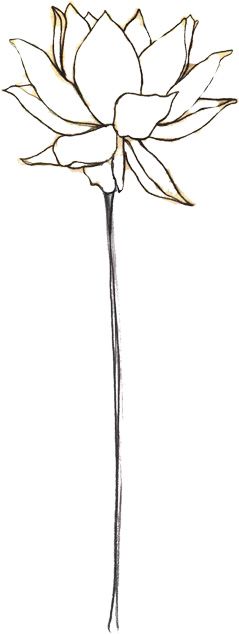 239x634 drawn flower stems - Flower Stem Drawing