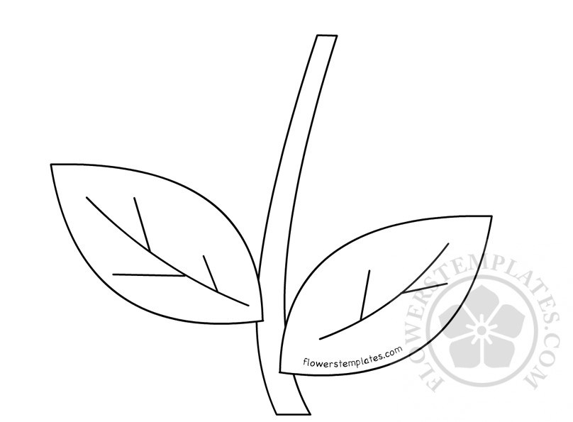 Flower Stem Drawing At PaintingValley Explore Collection Of