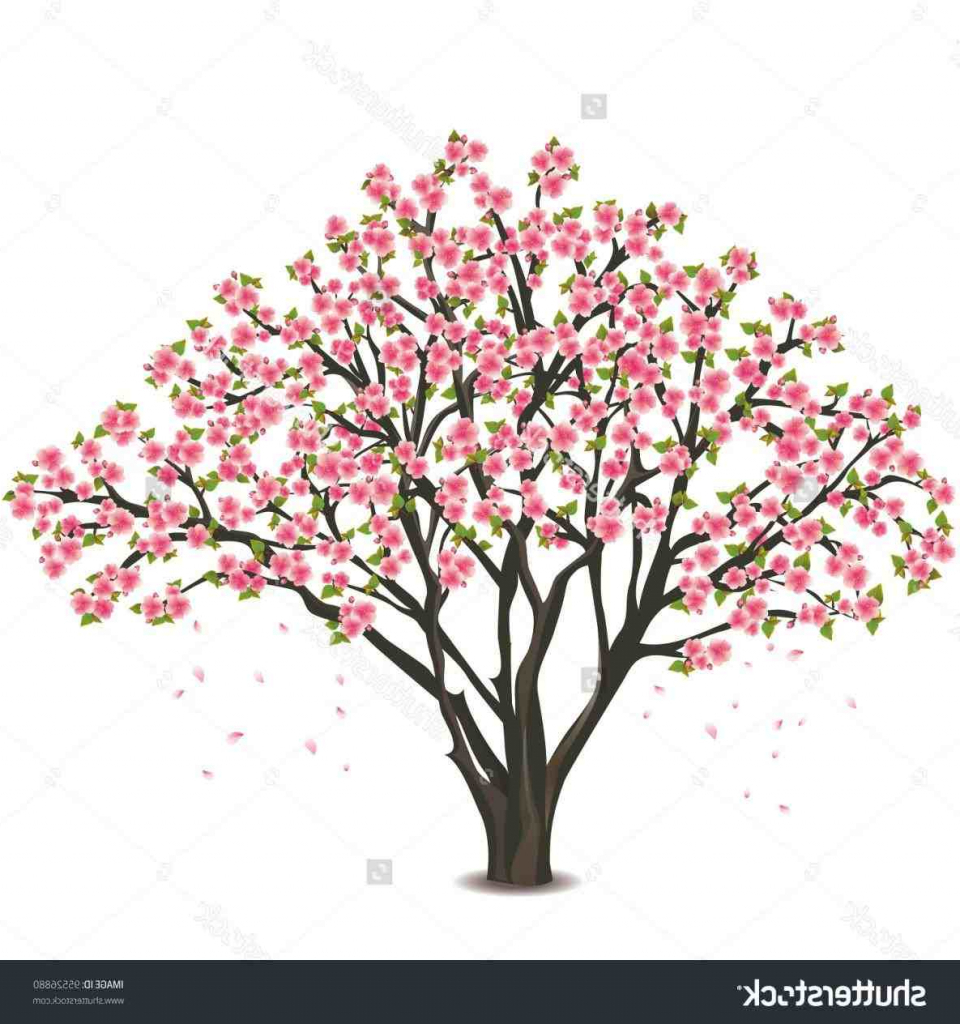 960x1024 Flower Tree Drawing And Flower Tree Drawing Cherry Blossom Tree - Flower Tree Drawing