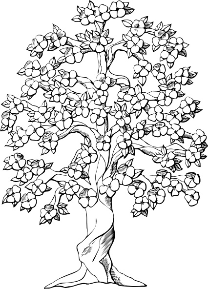 426x592 Flowering Tree Clip Art Free Vector In Open Office Drawing - Flower Tree Drawing
