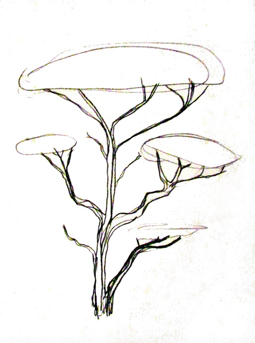 514x690 How To Draw A Tree - Flower Tree Drawing