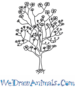 300x350 How To Draw A Dogwood Tree - Flower Tree Drawing