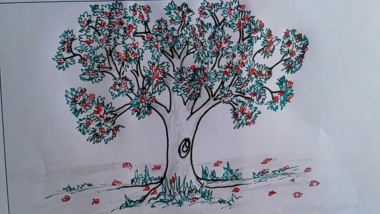 1280x720 How To Draw Krishnochuraflower Treetree Art Easy Way - Flower Tree Drawing