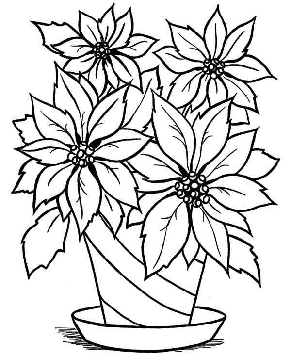 600x734 Flower Vase Coloring - Flower Vase Drawing