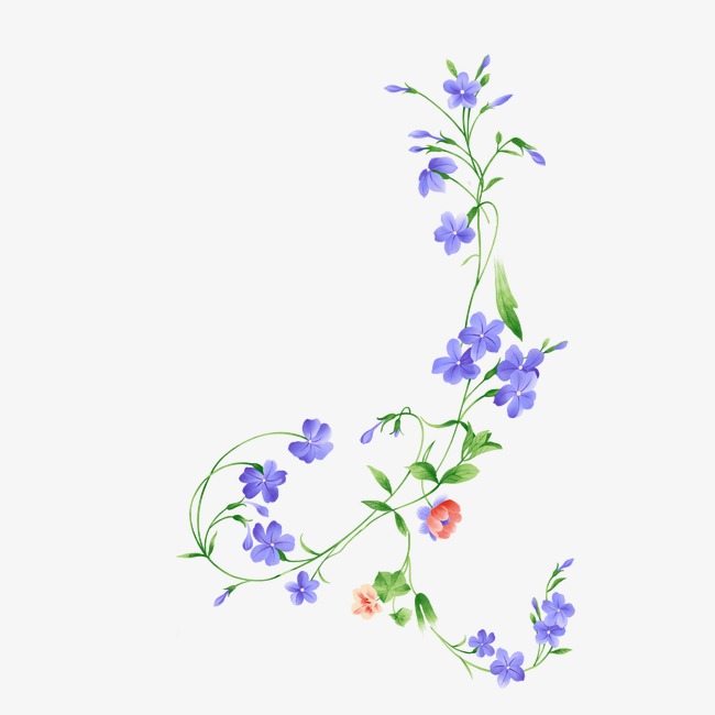 30+ Top For Flower Vine Floral Vine Drawing | Armelle Jewellery