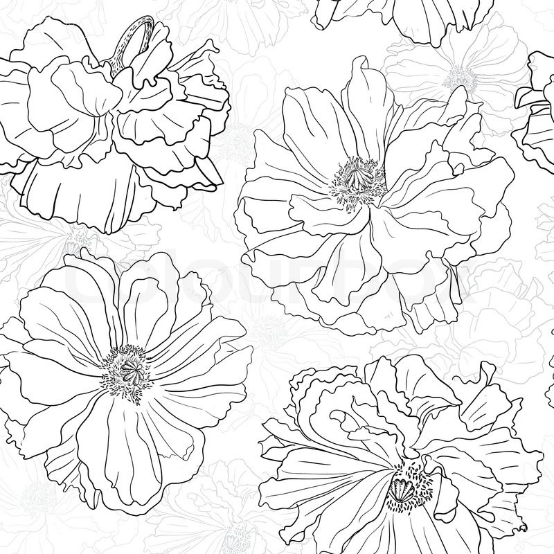 800x800 Hand Drawn Floral Wallpaper With Poppy Stock Vector Colourbox - Flower Wallpaper Drawing