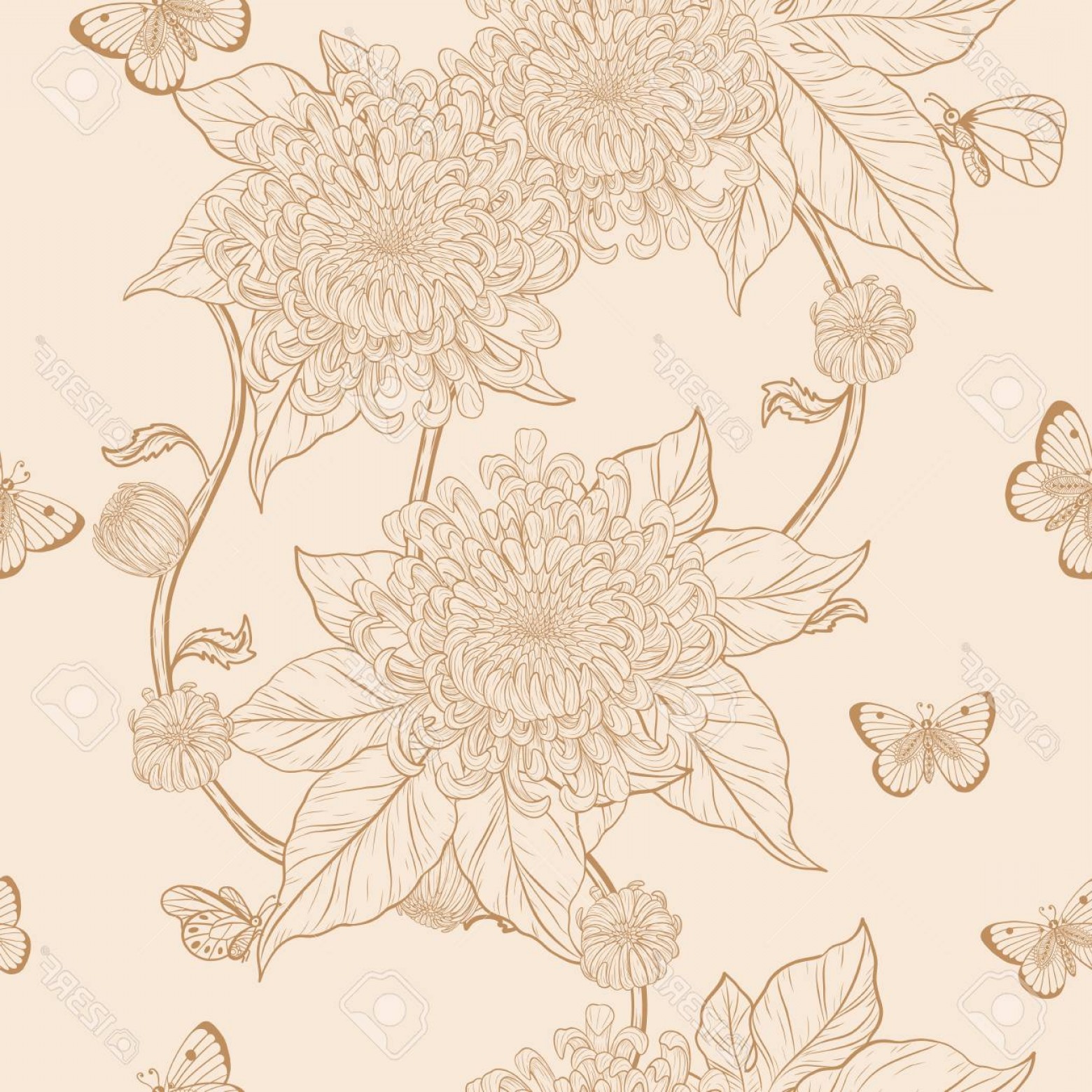 1560x1560 Photostock Vector Chrysanthemum Pattern On Vintage Background - Flower Wallpaper Drawing
