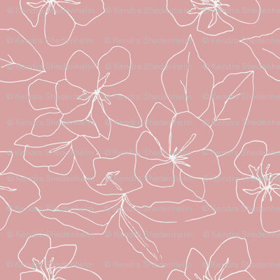 400x400 delicate flower petals, drawing on pale pink wallpaper - Flower Wallpaper Drawing