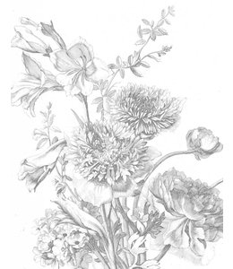 260x300 Wall Mural With Old Pen Drawings Of Flowers - Flower Wallpaper Drawing