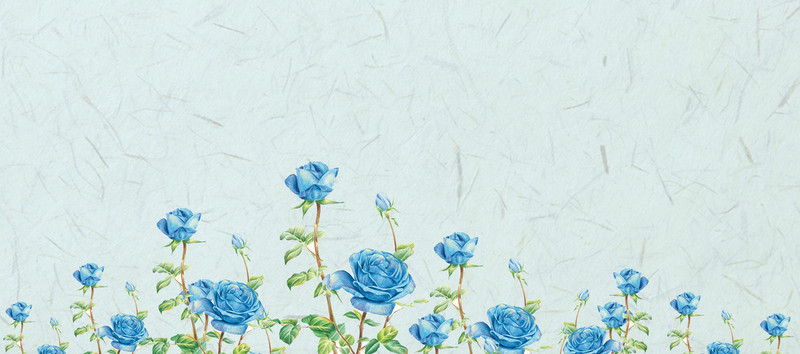 800x354 Floral Cotton Grunge Drawing Background, Art, Flower, Wallpaper - Flower Wallpaper Drawing