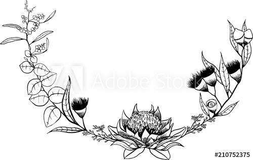 500x317 Australian Floral Flower Wreath Border Line Drawing - Flower Wreath Drawing