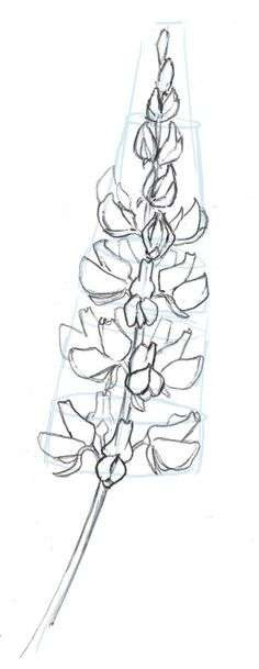 236x609 Drawings Of Flowers And Birds Bird And Flowers Drawing - Flowers And Birds Drawing