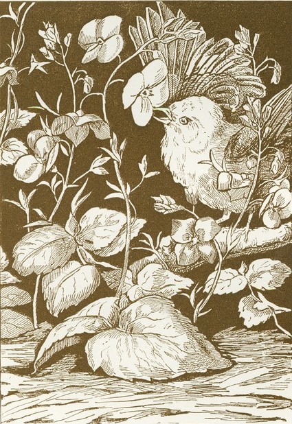 425x618 Filebird And Flowers Drawing - Flowers And Birds Drawing