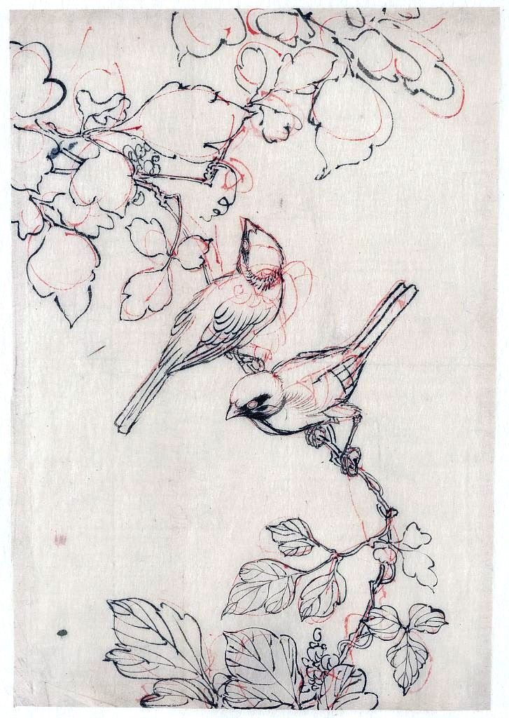 727x1024 Art I Like Japanese Drawings, Tattoo - Flowers And Birds Drawing
