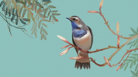 463x260 Rice Paper On Landscape Flower And Bird Drawing Cartoon Background - Flowers And Birds Drawing