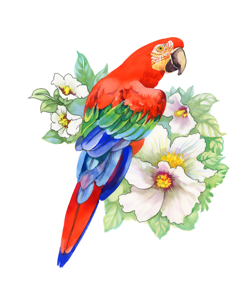 500x582 Watercolor Drawn Birds With Flowers Vector Design Free Download - Flowers And Birds Drawing