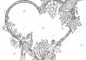 300x210 Flower Rhdrawingslycom Sketch Drawings Of Flowers And Birds Draw - Flowers And Birds Drawing