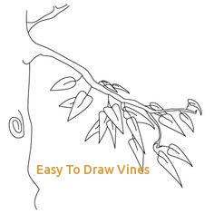 236x236 Easy To Draw Vines Drawings Of Flowers Leaves And Vines - Flowers And Vines Drawing