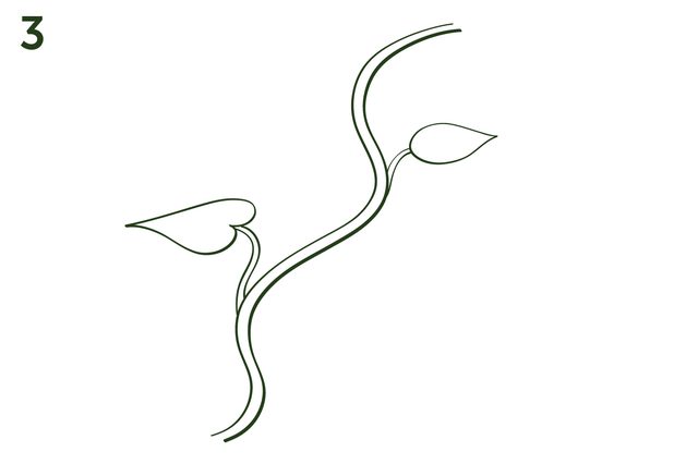 640x426 How To Draw Vines For Flowers - Flowers And Vines Drawing