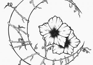 300x210 Simple Flower Vine Drawing - Flowers And Vines Drawing