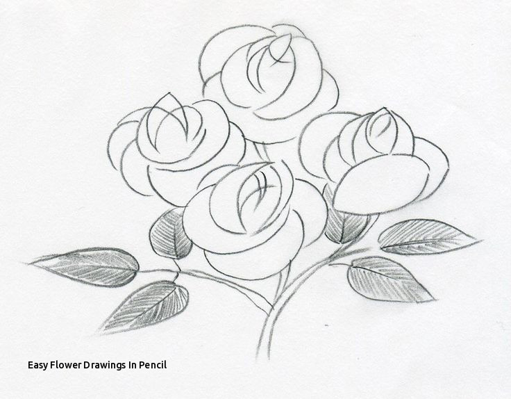 736x574 Easy Flower Drawings In Pencil Waves With Pencil Drawing - Flowers Drawing Pictures Pencil