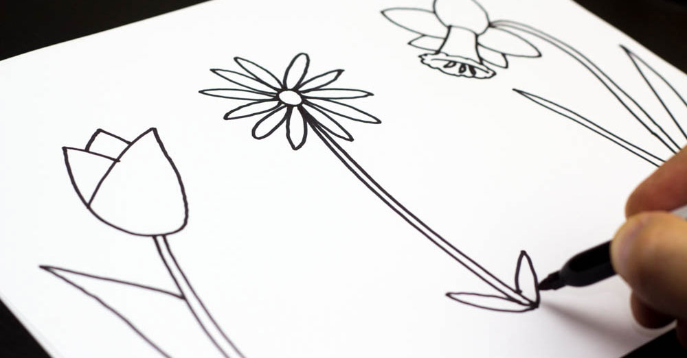 1000x522 How To Draw A Flower - Flowers For Kids Drawing