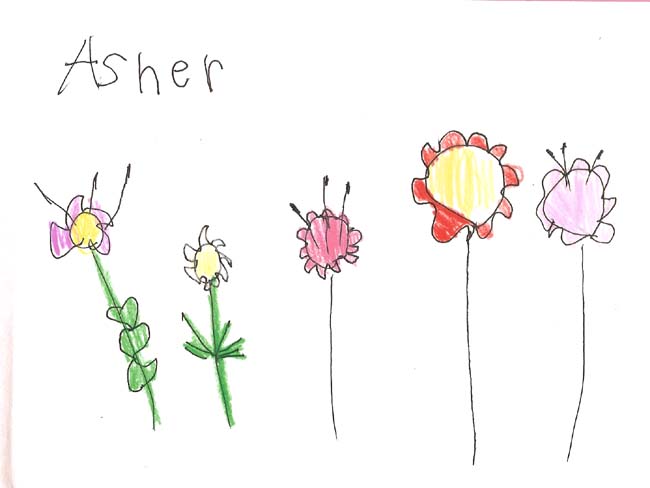650x488 Photos Kids Drawings Of Flowers - Flowers For Kids Drawing