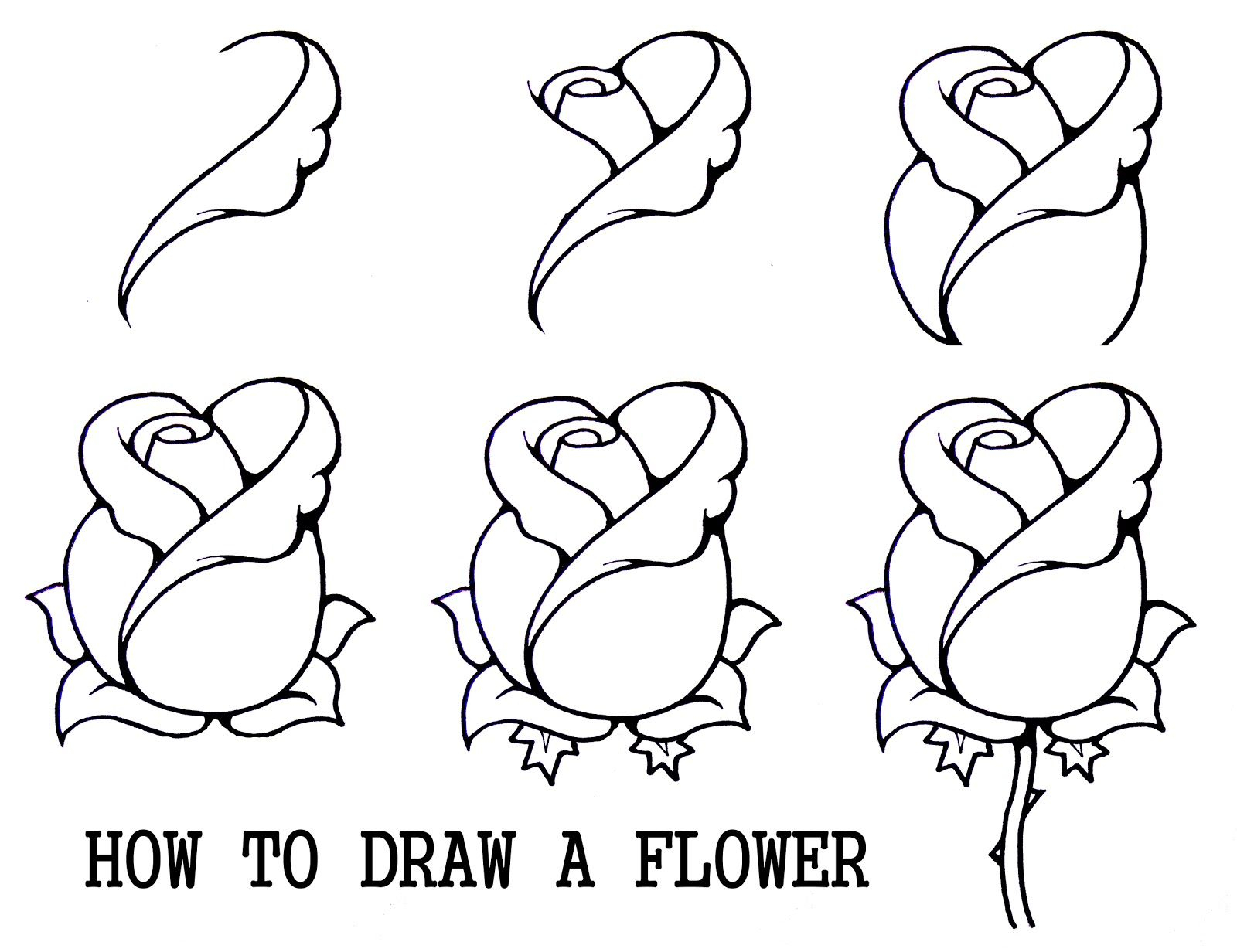 1600x1232 Drawing Flower Step - Flowers For Kids Drawing