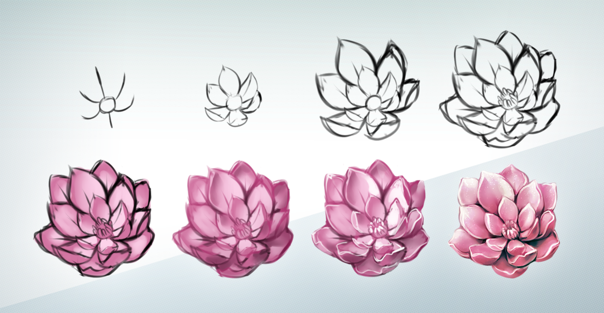 1241x644 Pictures Flower Drawing On Tumblr - Flowers Tumblr Drawing