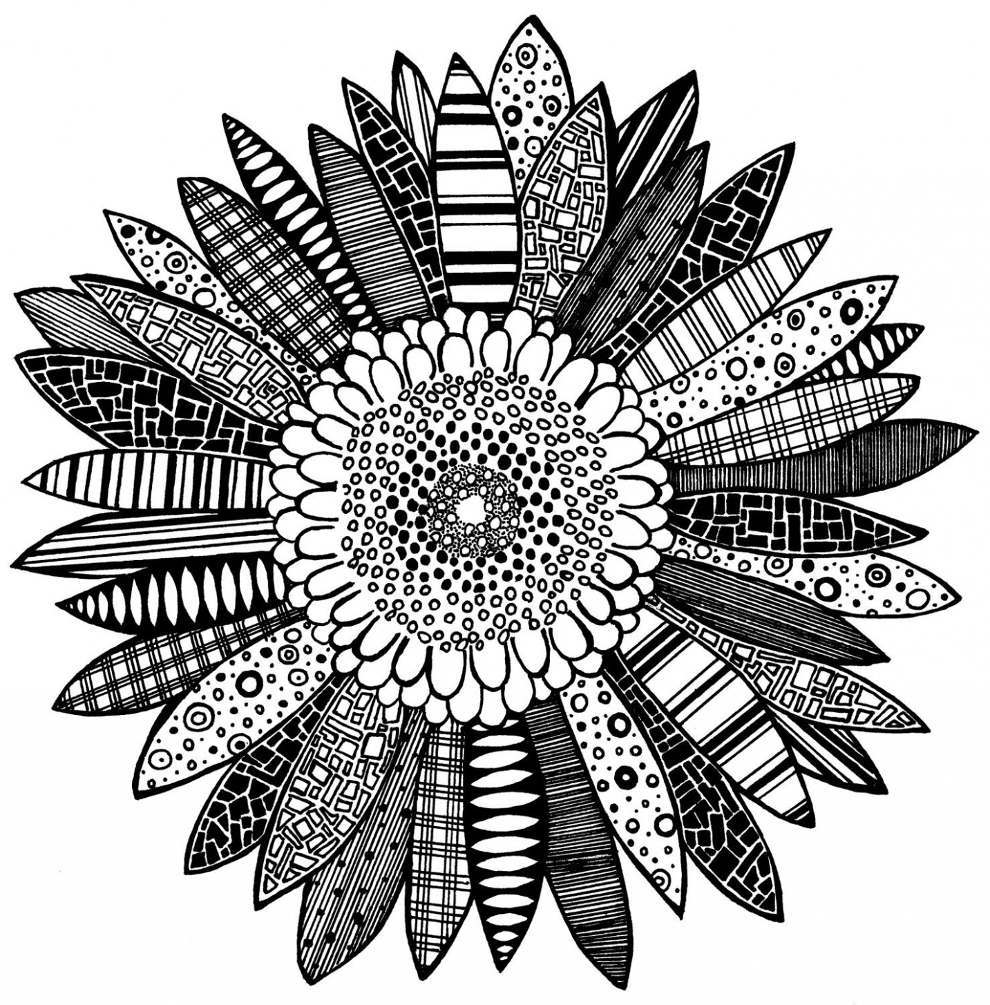 1433x1455 Sketch Flower Tumblr Black And White Flowers Drawings Tumblr - Flowers Tumblr Drawing