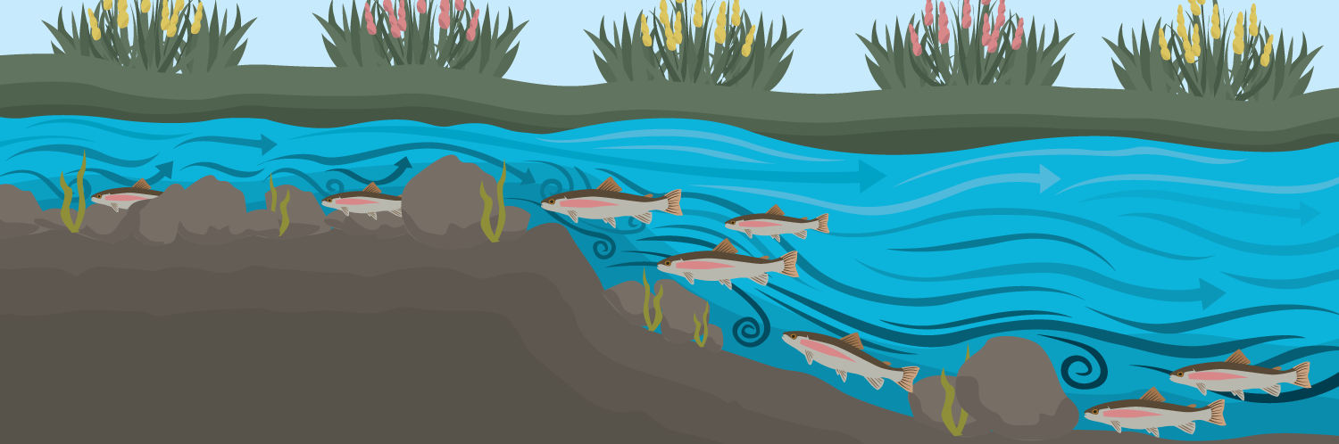 1500x498 Learn To Read The Water To Locate Trout In Streams - Flowing River Drawing