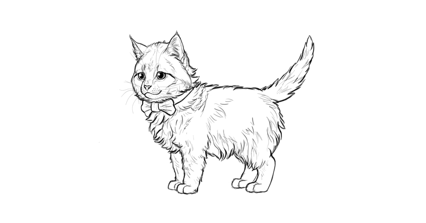 850x445 How To Draw A Super Cute Kitten Step - Fluffy Cat Drawing